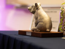 De finalisten van HBIVV 2025 zijn bekend!