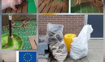 Tips gevraagd aan onze collega varkenshouders!